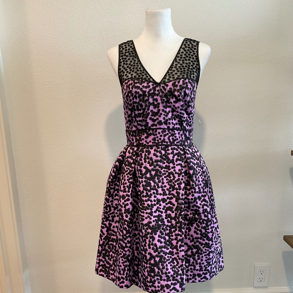 TAYLOR Dress  Fit and Flare Purple  Black Size 4 NWT